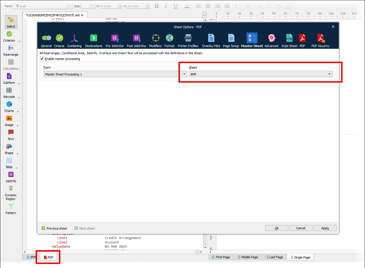 The Master Sheet tab of the PDF sheet's Options window with master sheet processing configured.